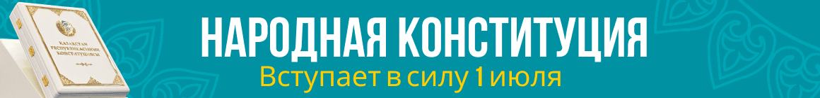 Новая конституция вступает в силу с 1 июля