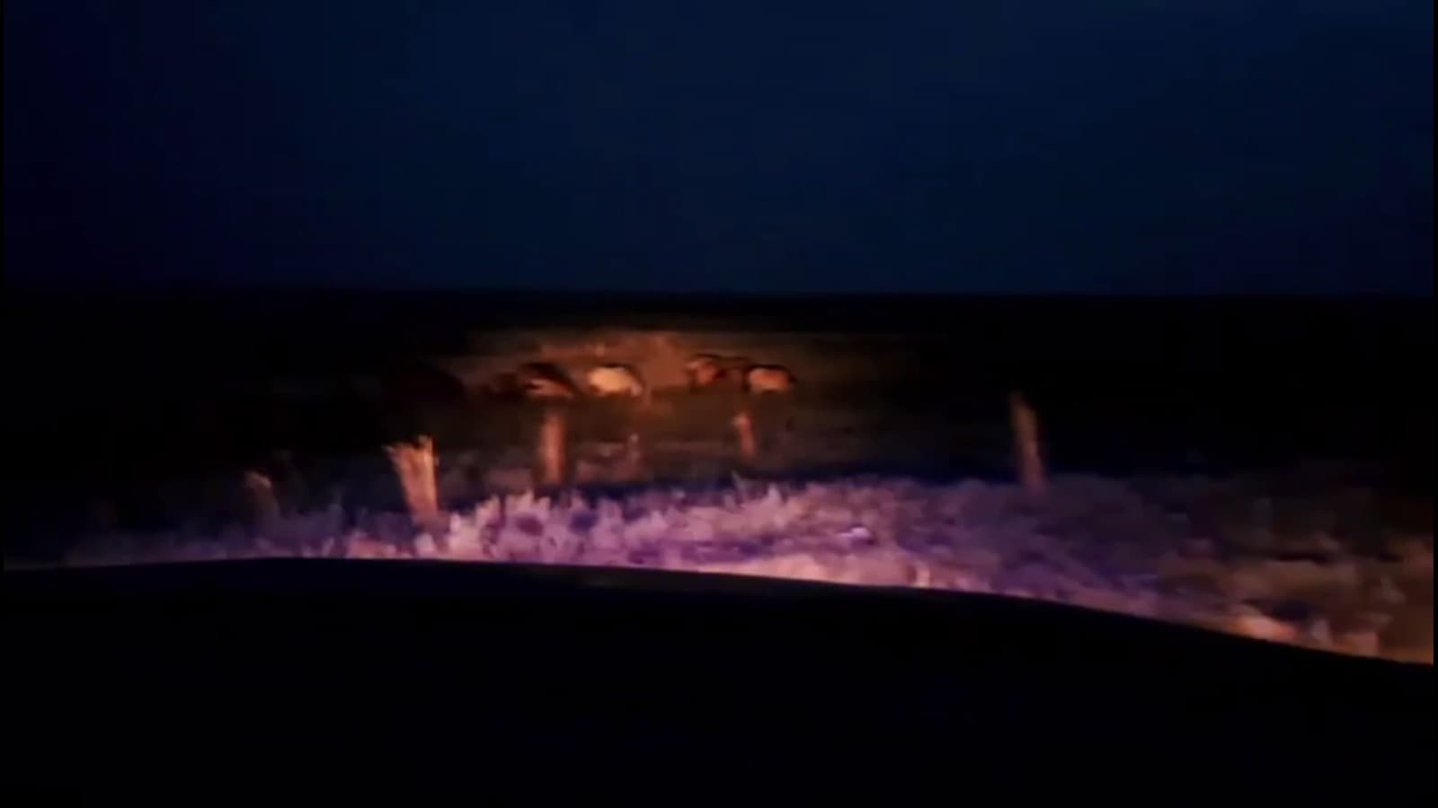 Изображение записи