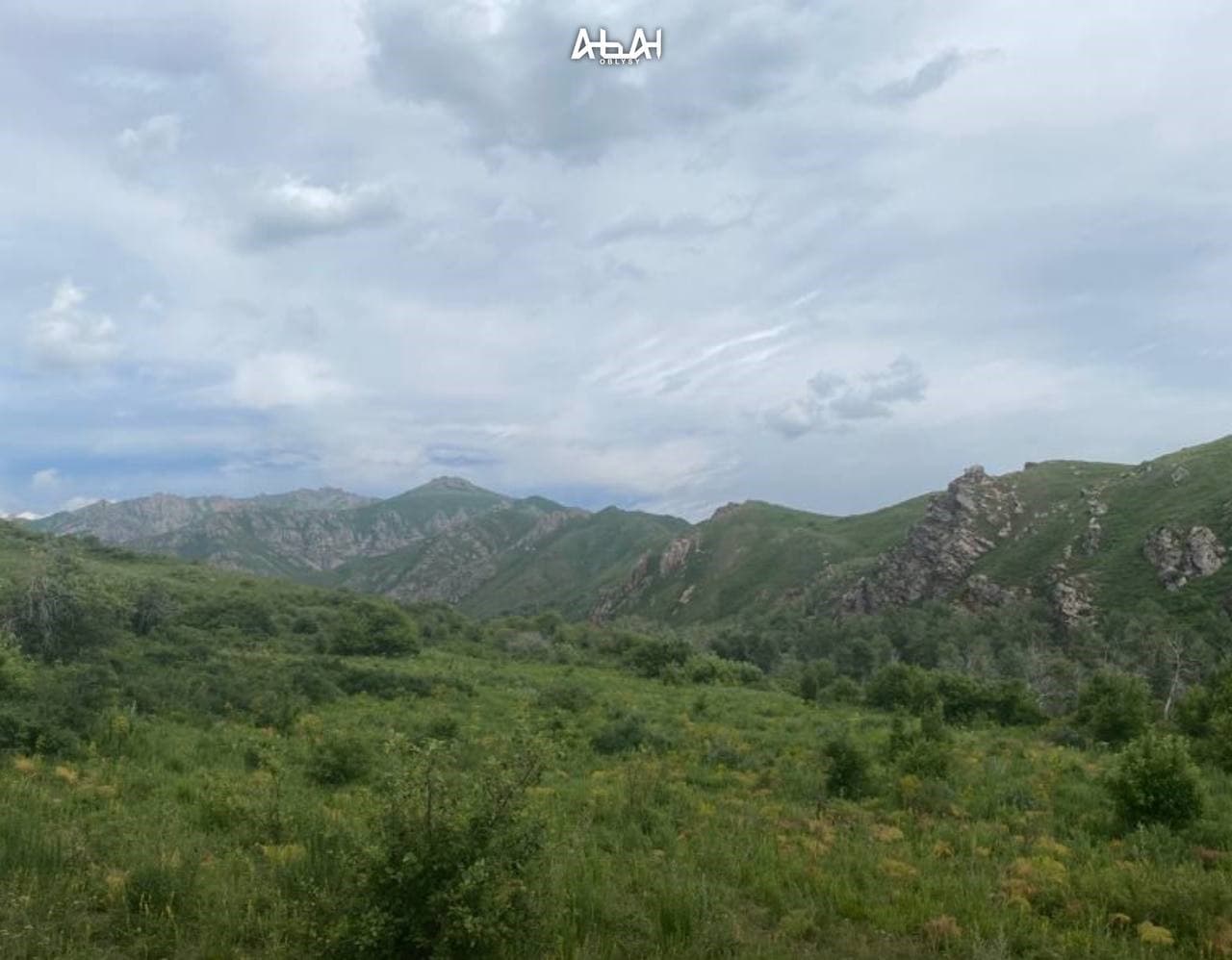 Изображение записи