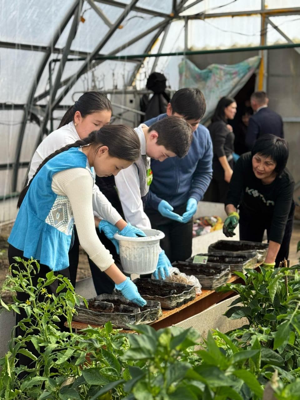 Изображение записи