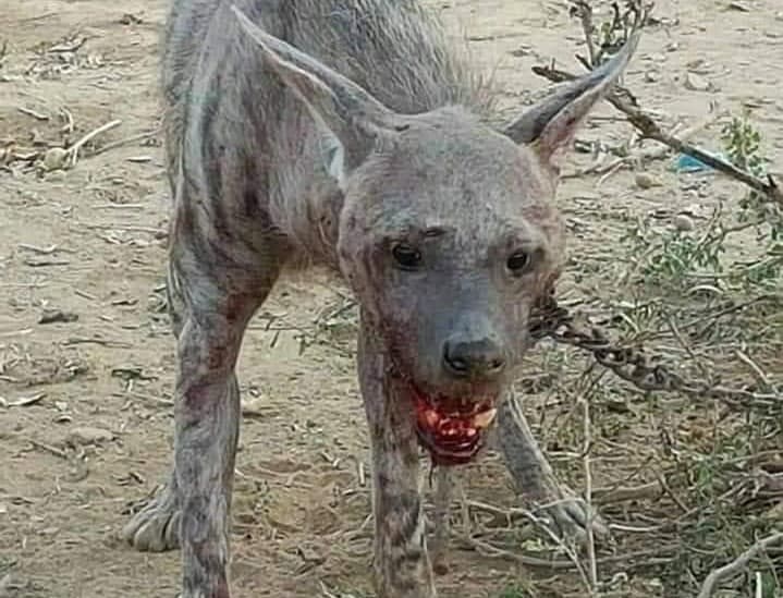 Изображение записи