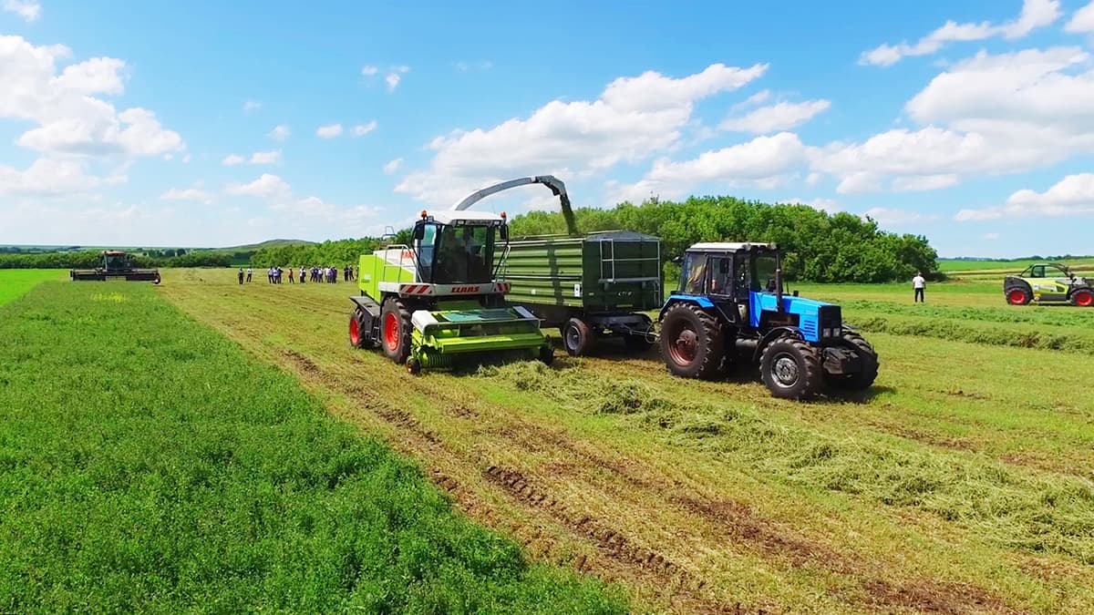 Изображение записи