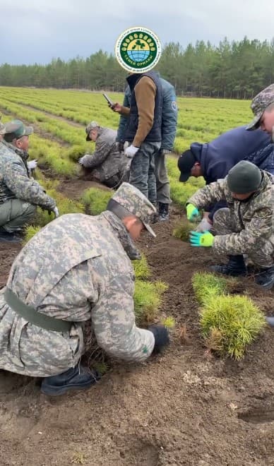 Изображение записи