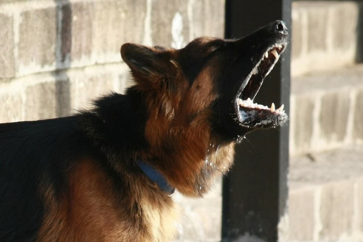 Изображение записи