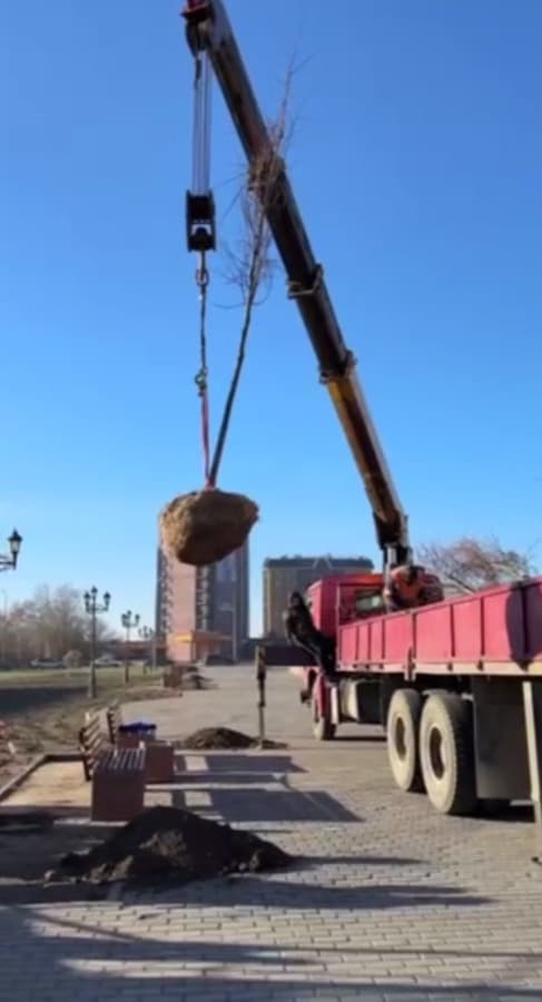 Изображение записи