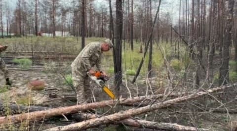 Изображение записи