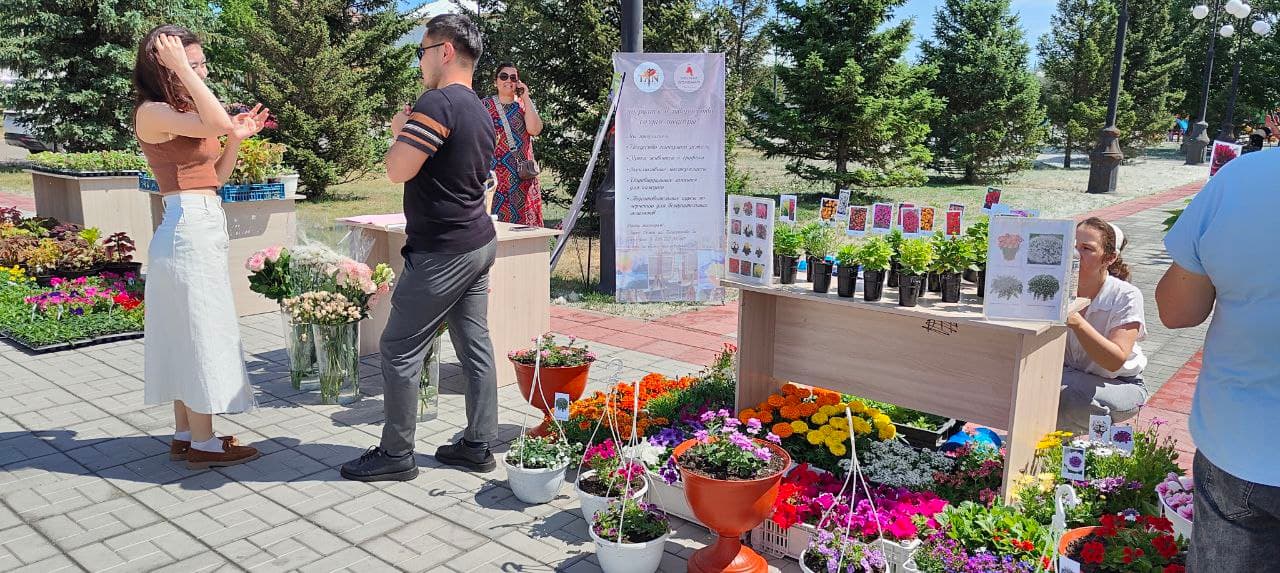 Изображение записи
