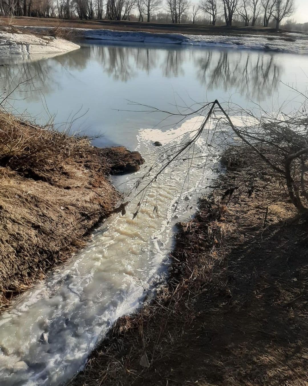 Изображение записи