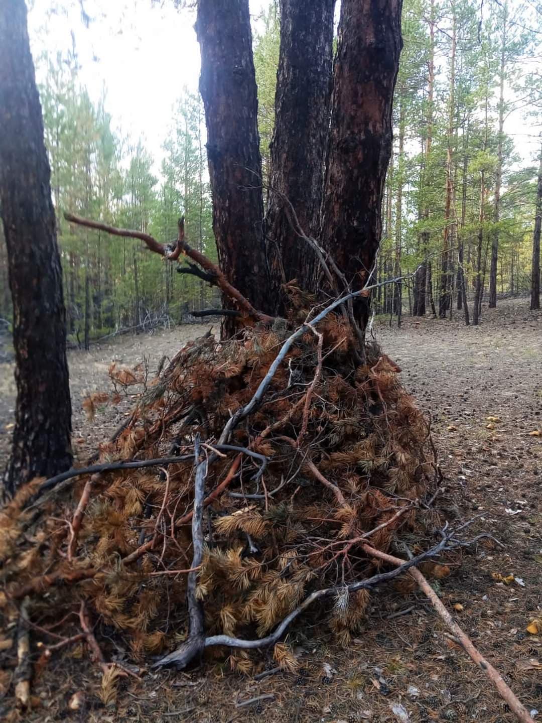 Изображение записи