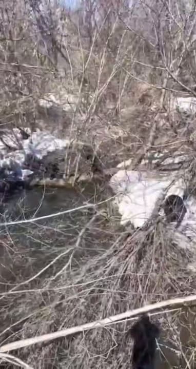 Изображение записи