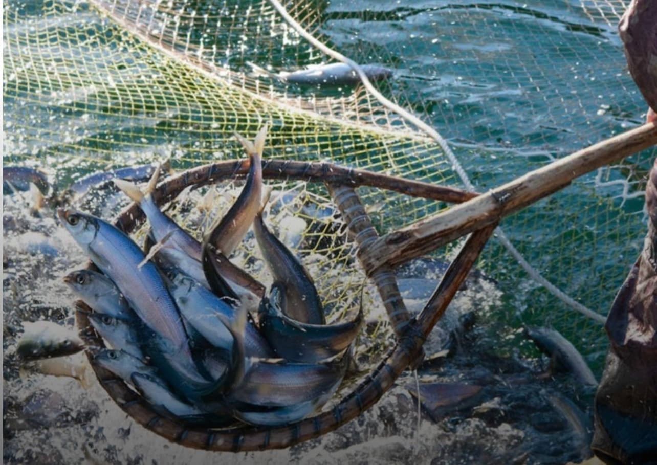 Изображение записи