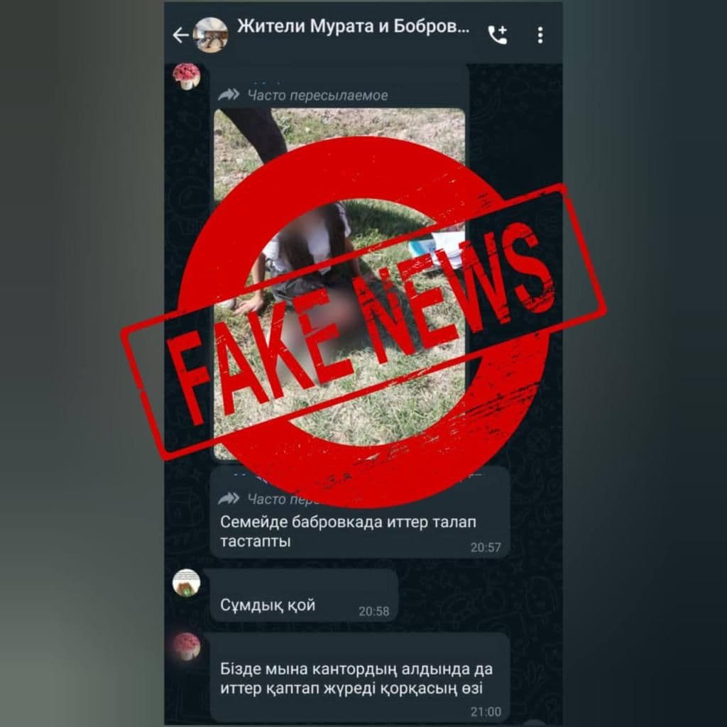 Изображение записи