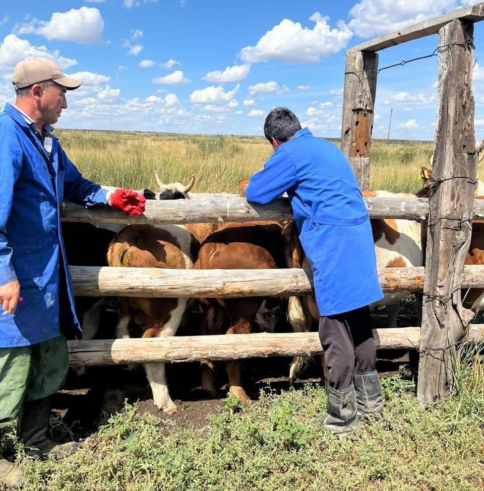Изображение записи