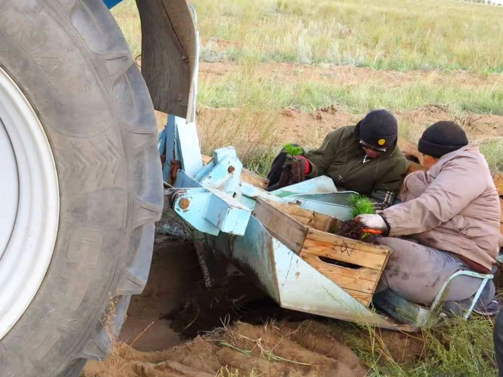 Изображение записи