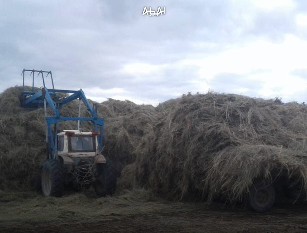 Изображение записи