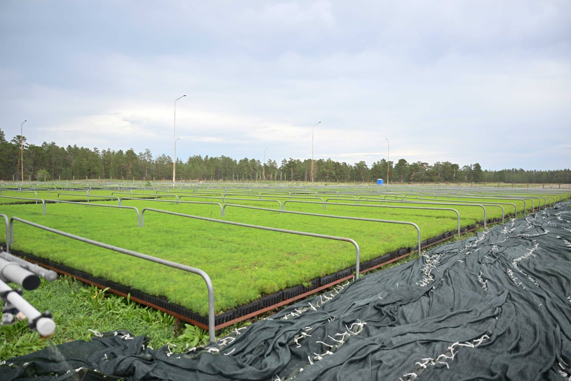 Изображение записи