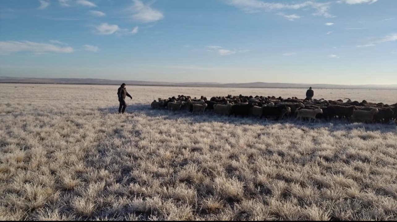 Изображение записи