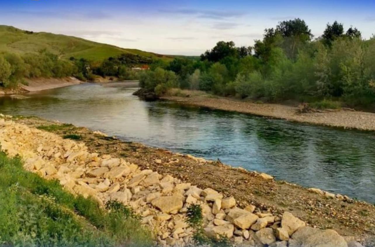 Изображение записи