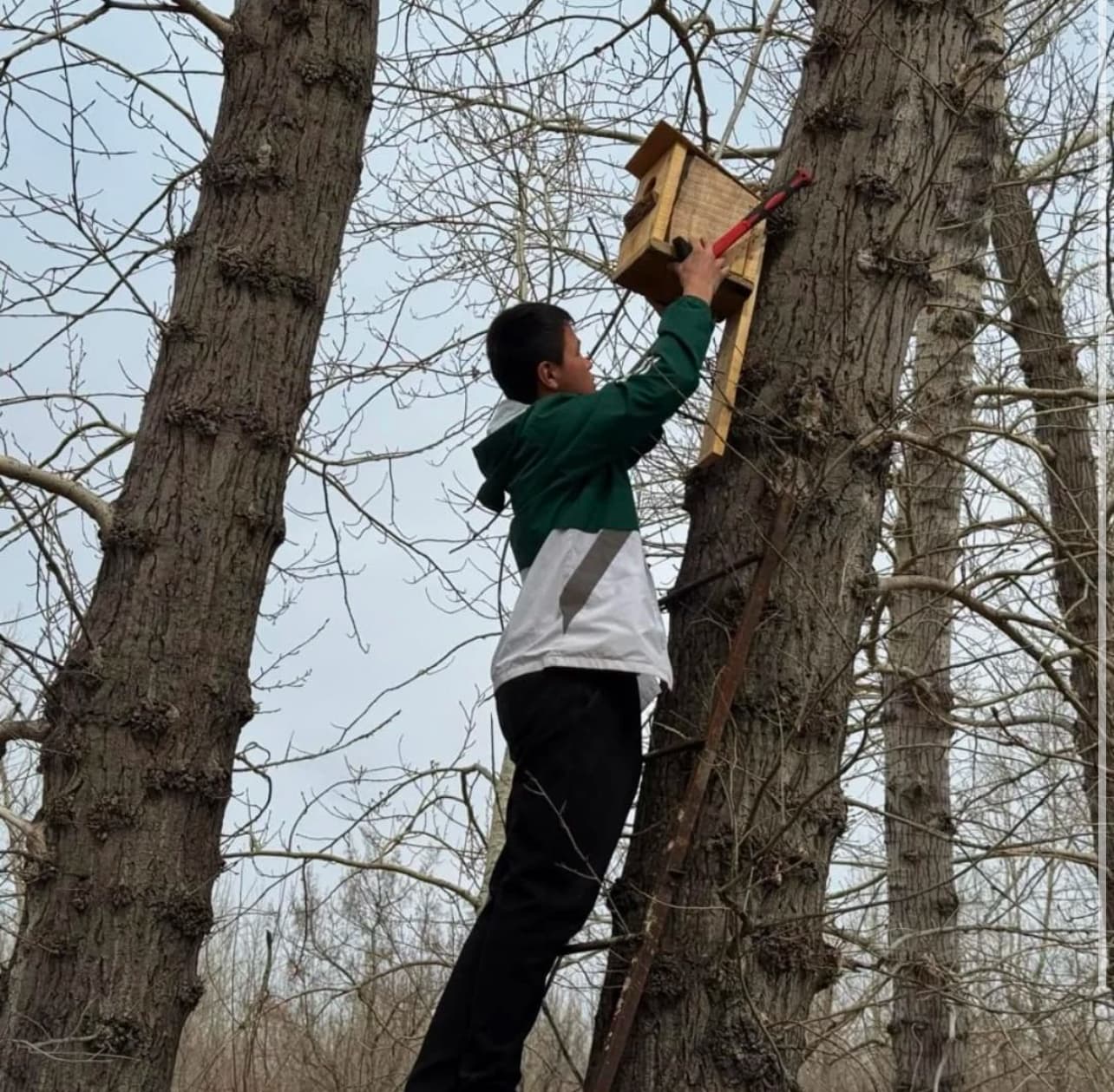 Изображение записи