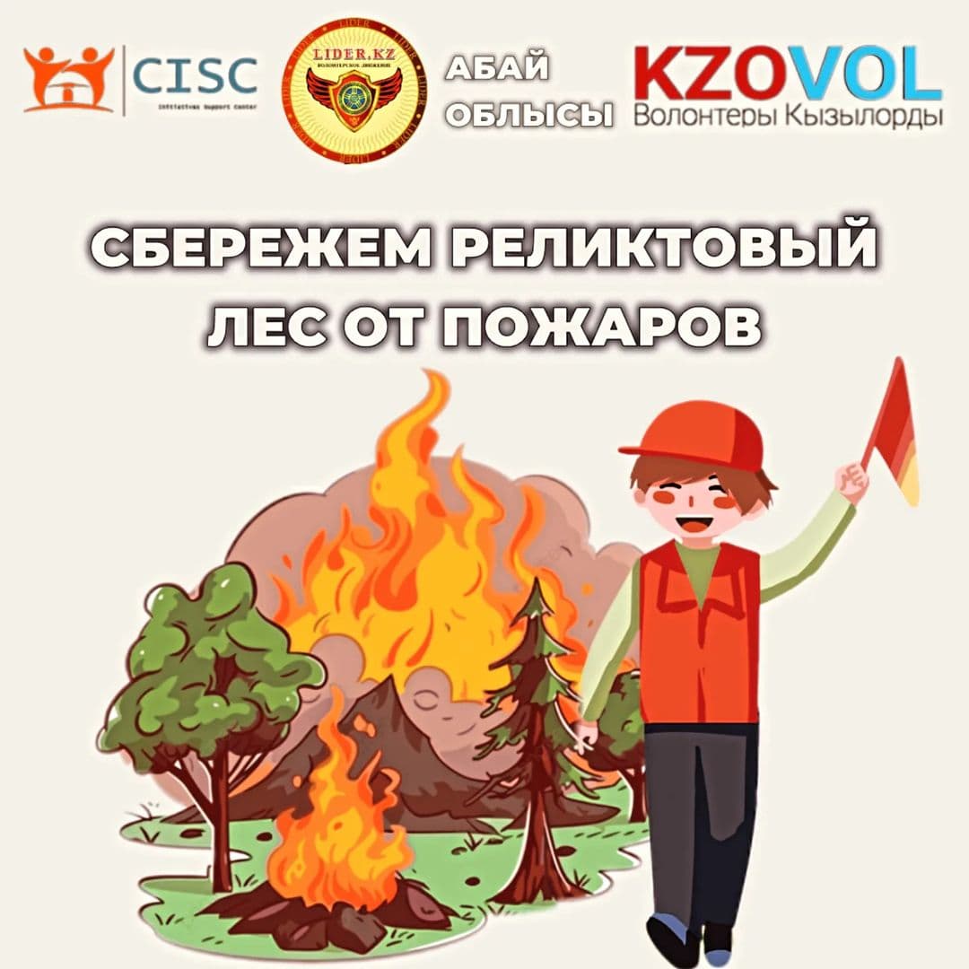 Изображение записи