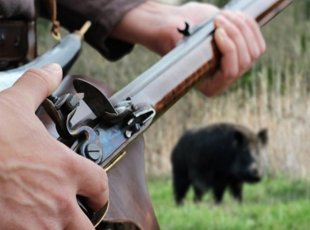 Изображение записи