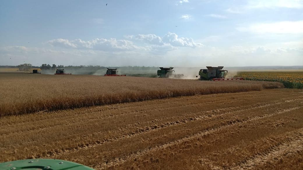 Изображение записи