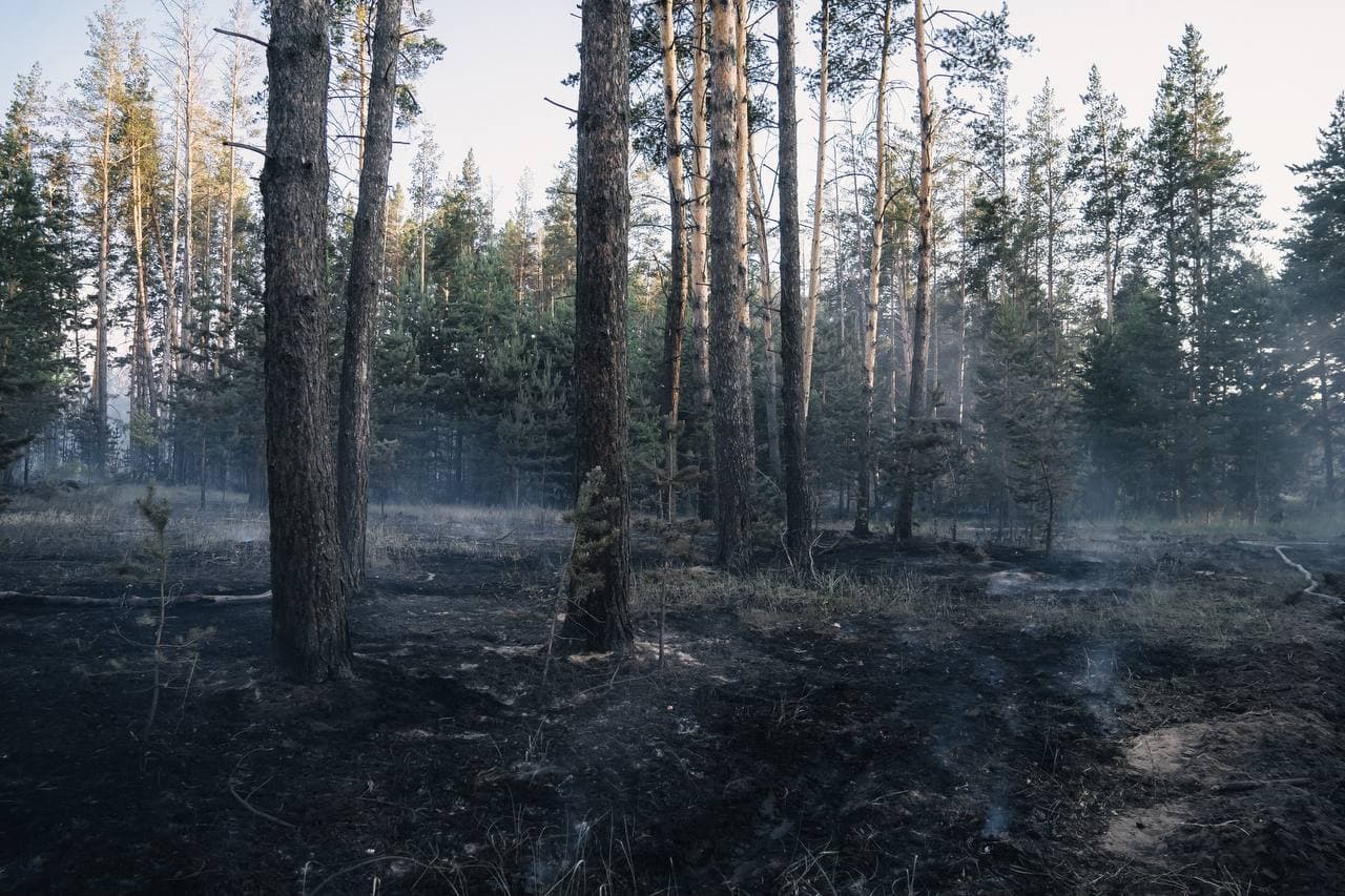 Изображение записи