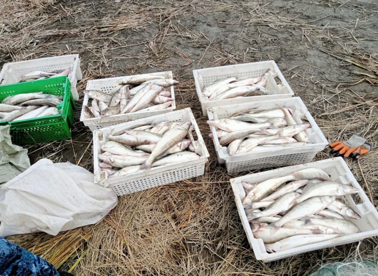 Изображение записи