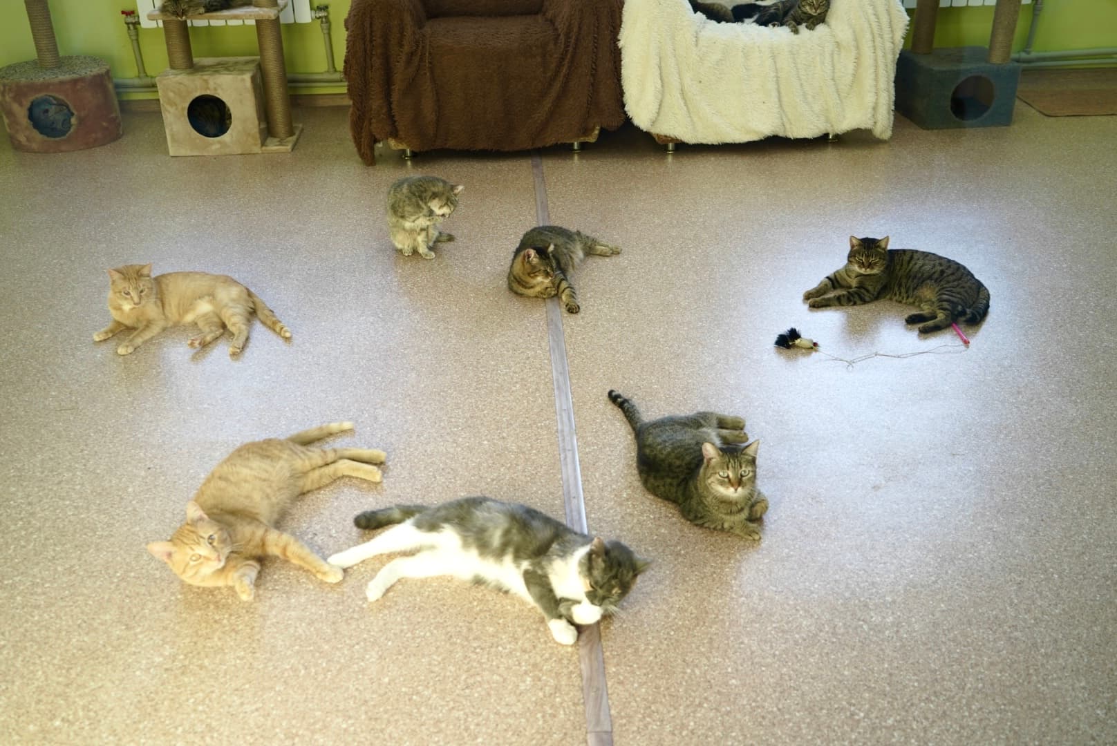 Изображение записи