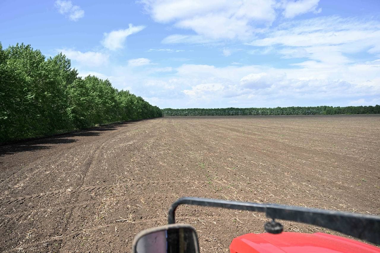 Изображение записи