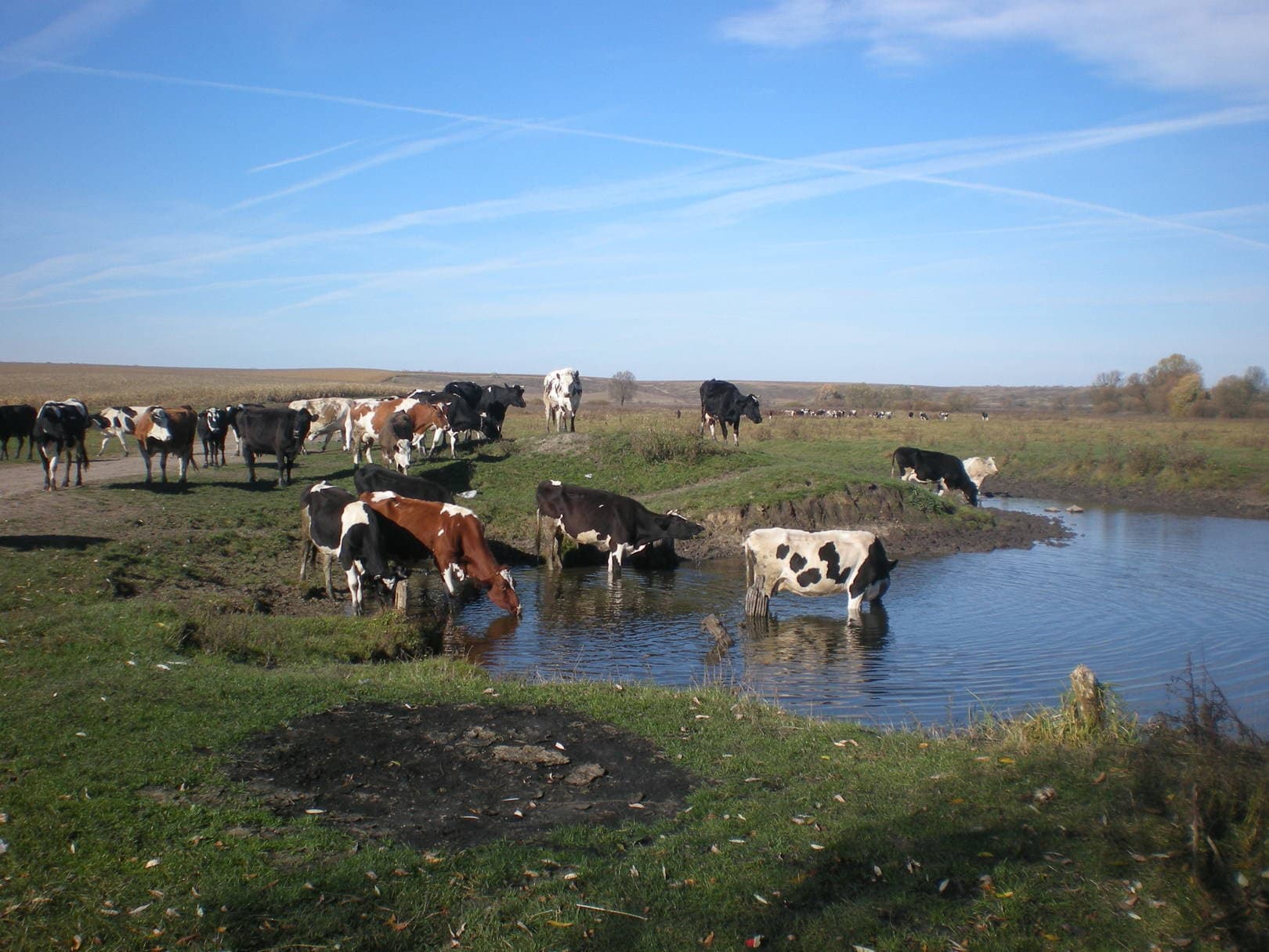 Изображение записи