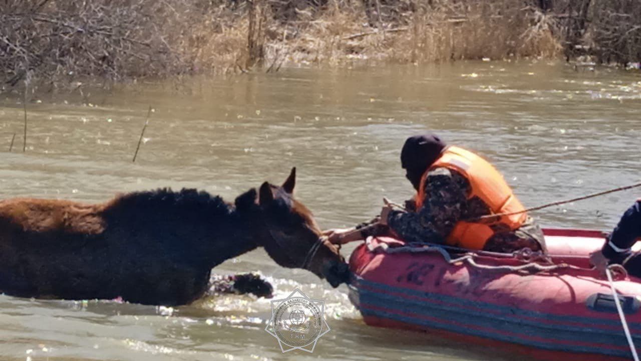 Изображение записи