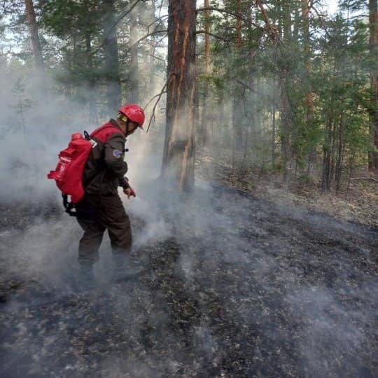Изображение записи