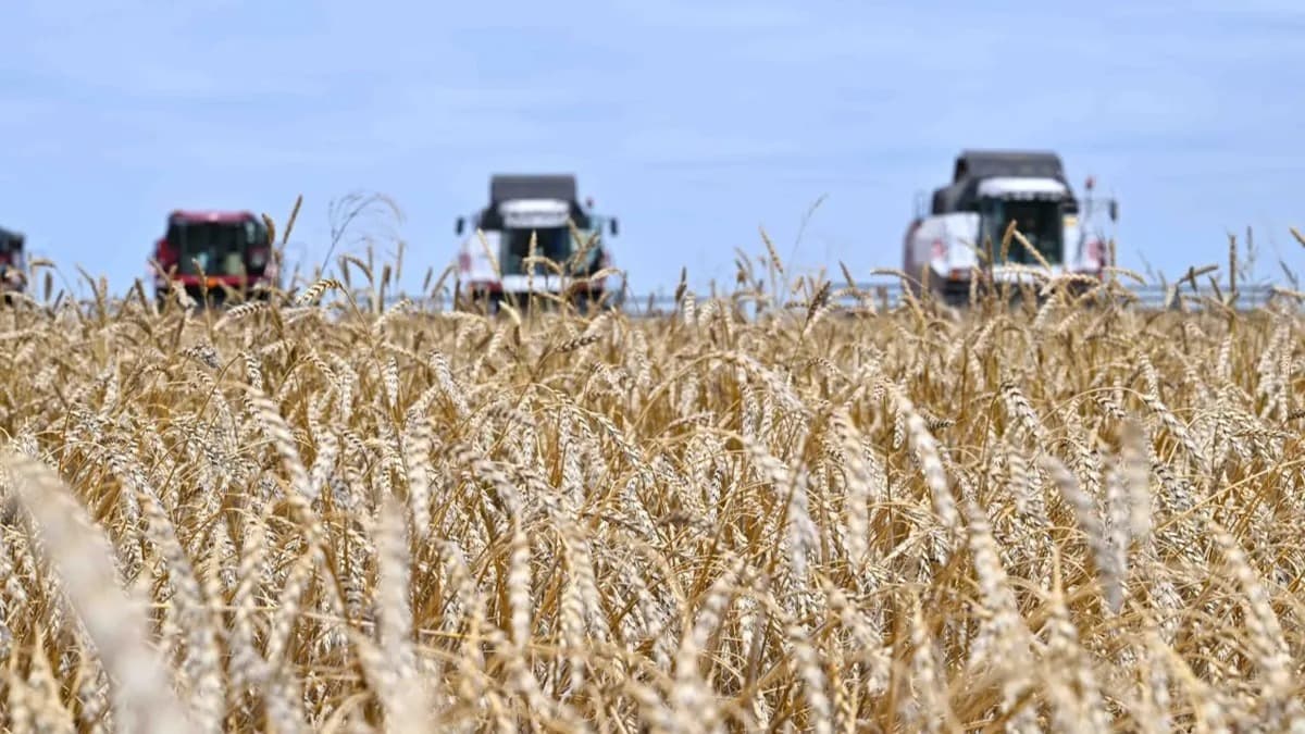 Изображение записи