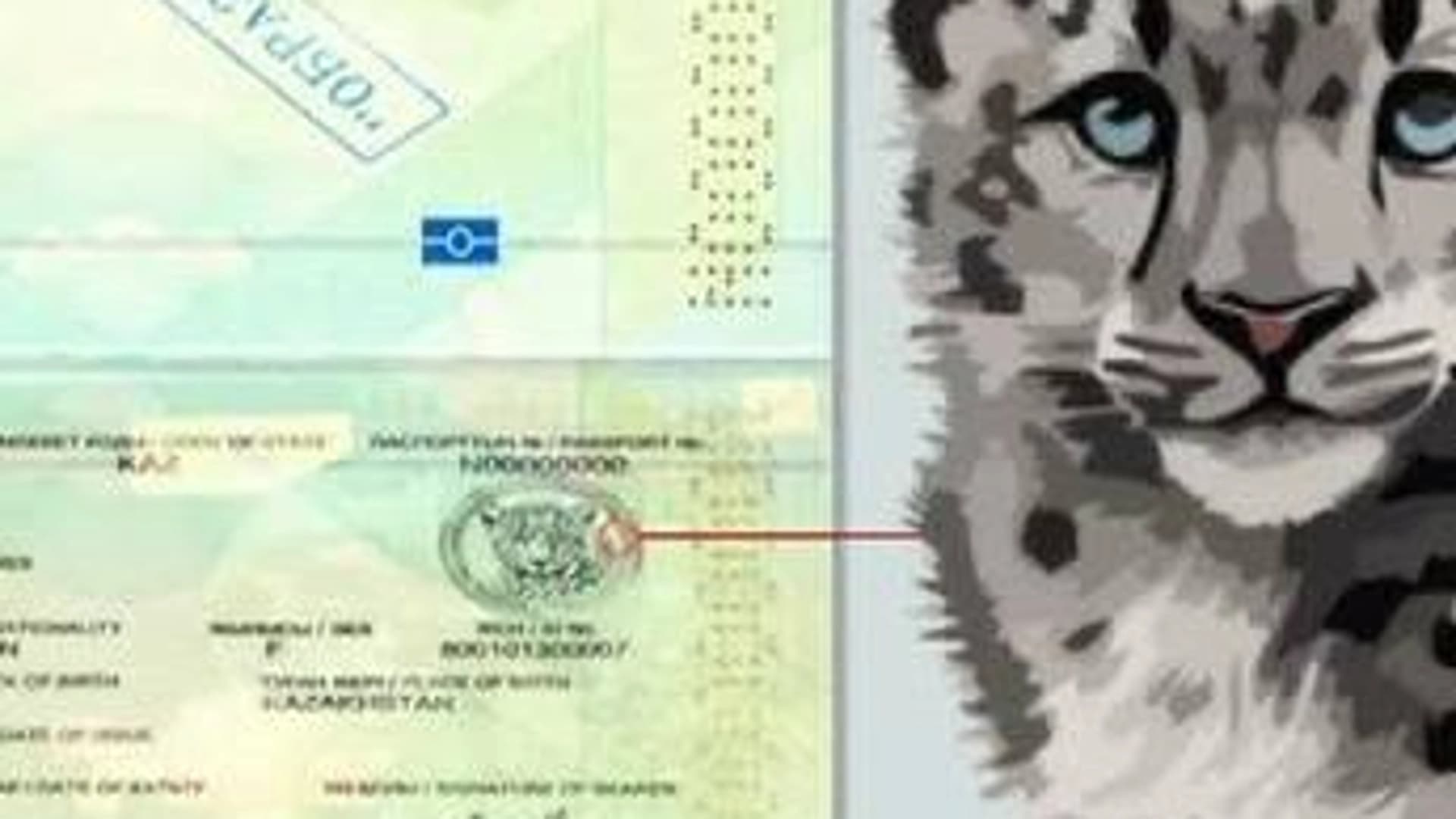 Изображение записи
