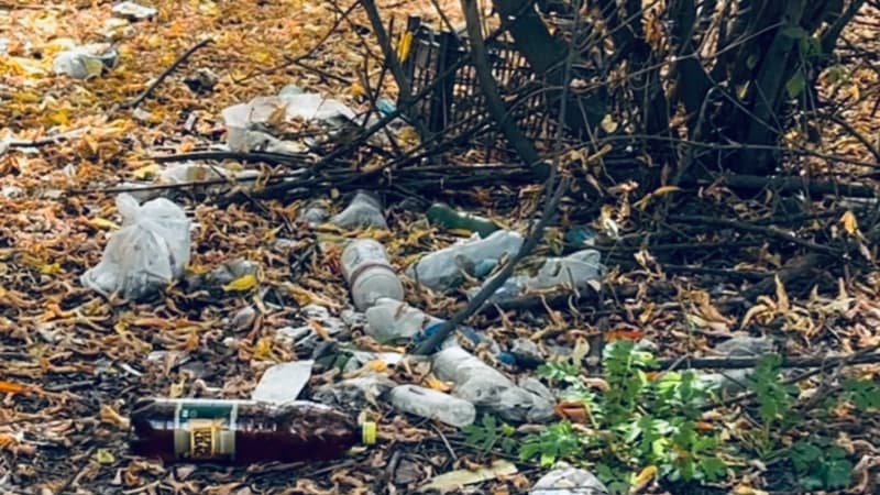 Изображение записи
