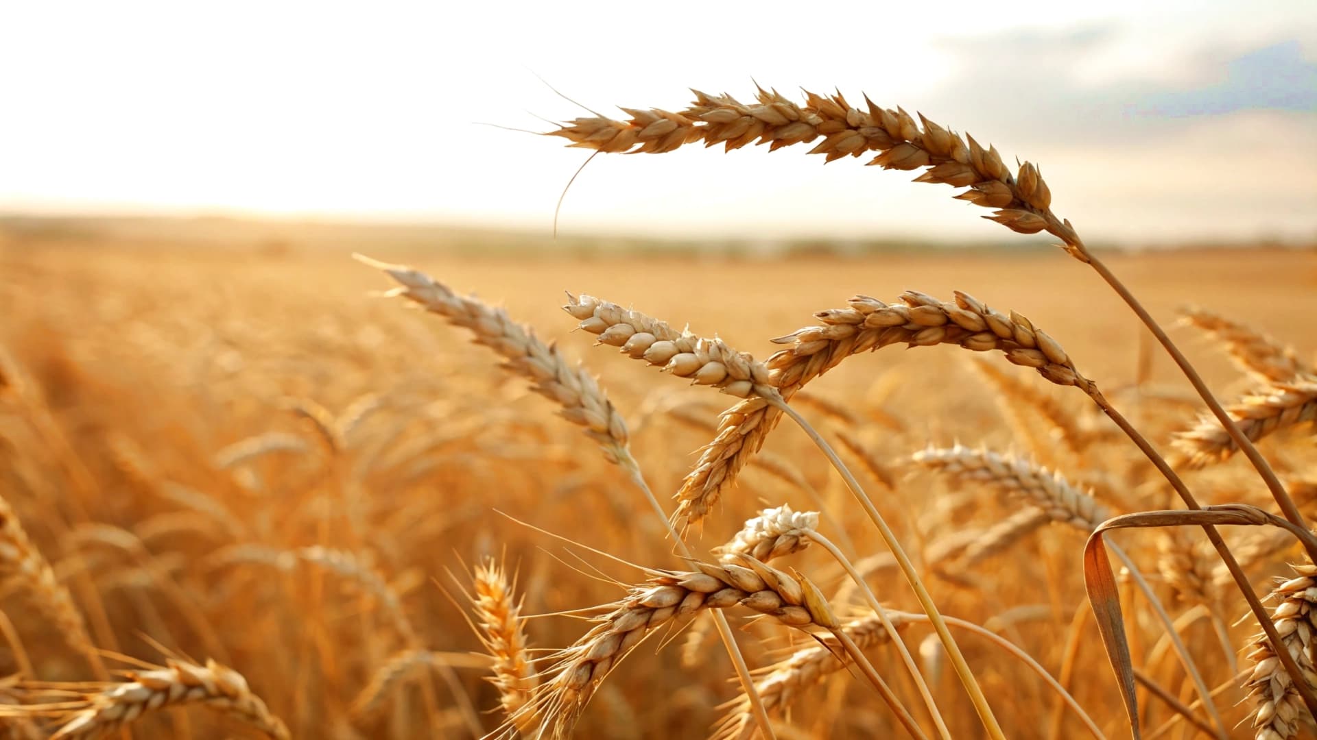 Изображение записи