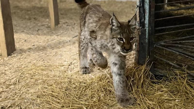 Изображение записи