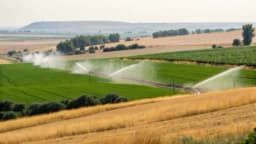 Изображение записи