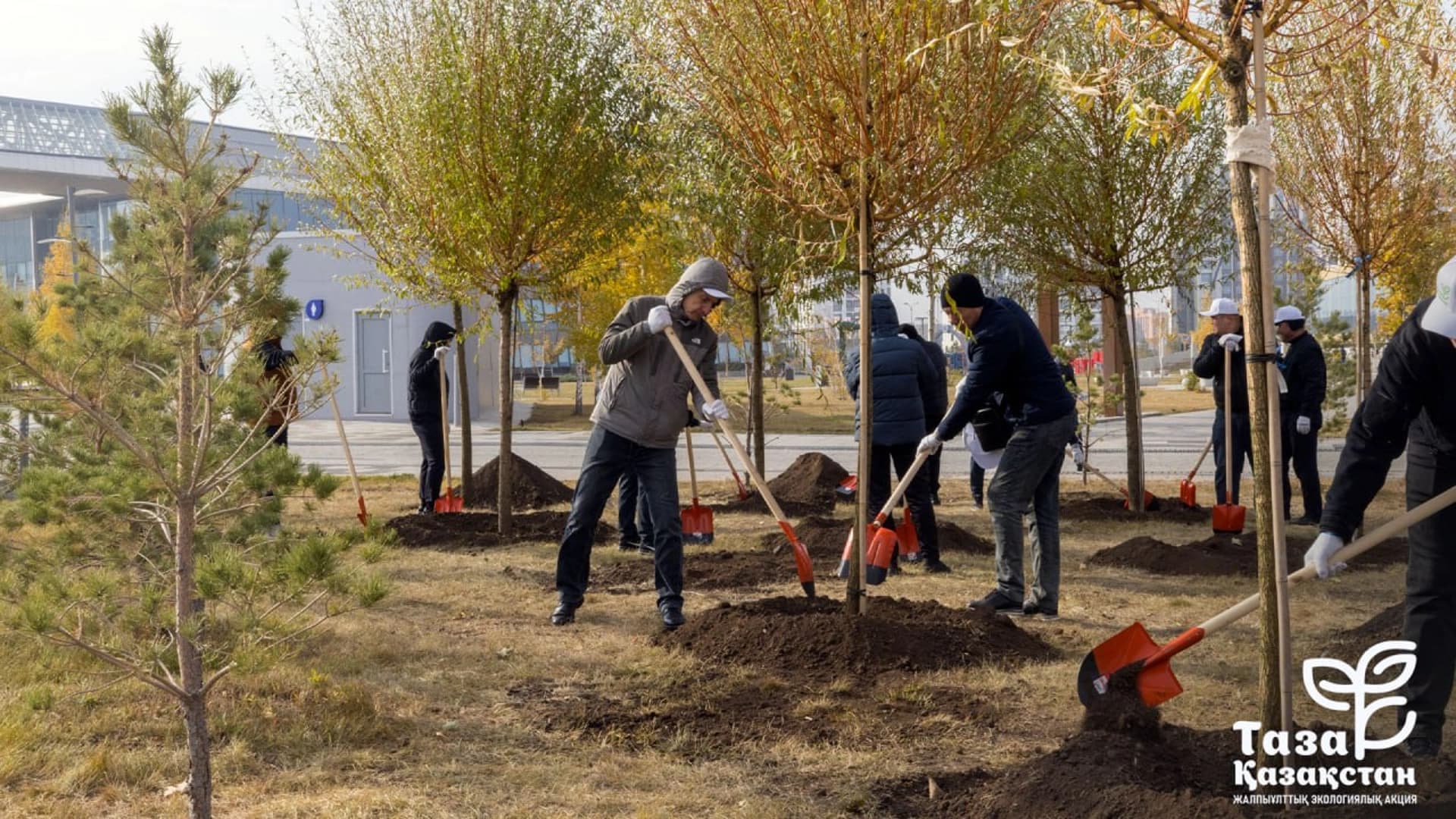 Изображение записи