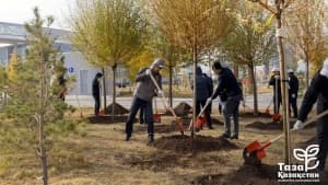 Изображение записи