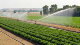 Изображение записи