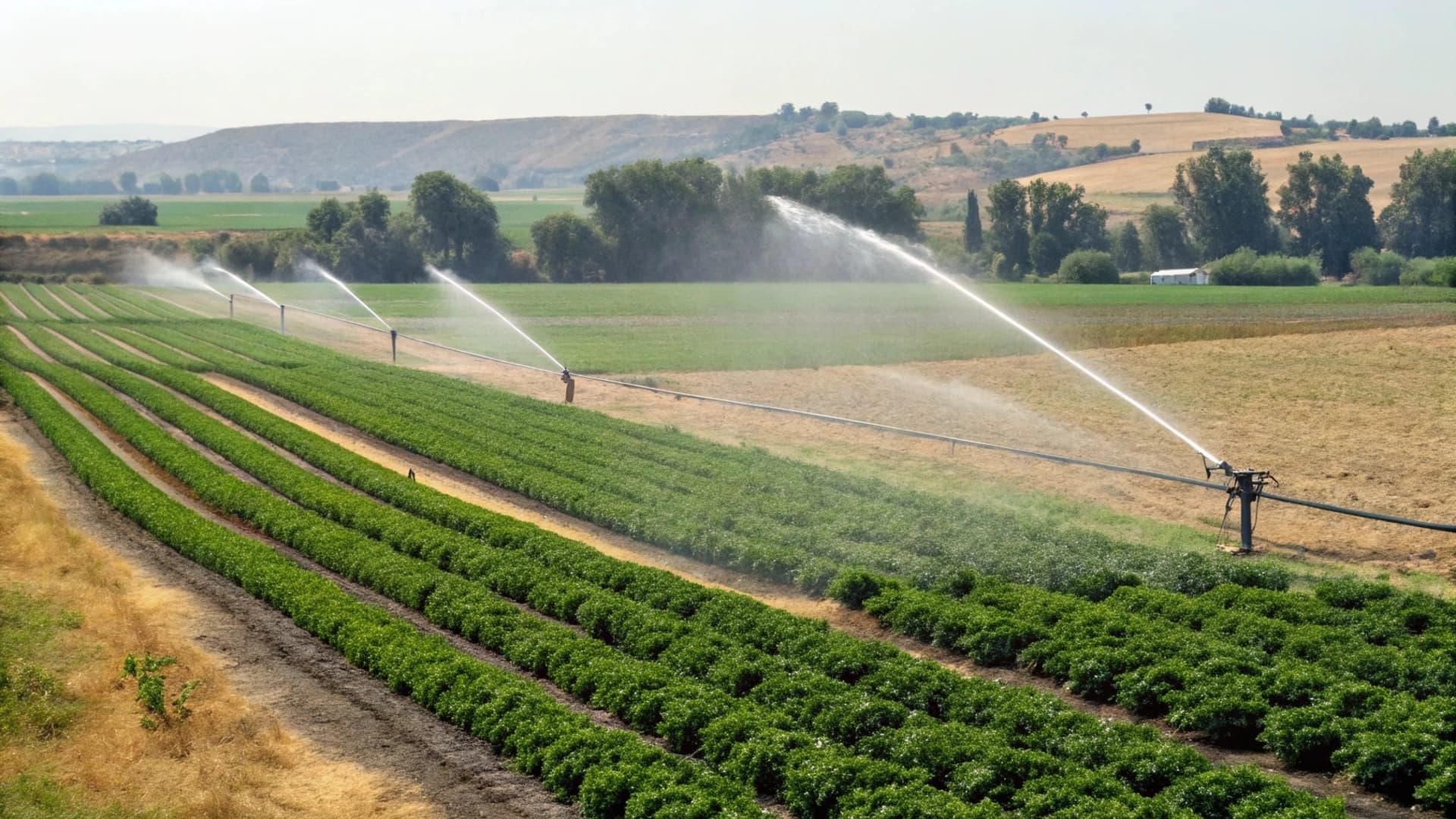 Изображение записи