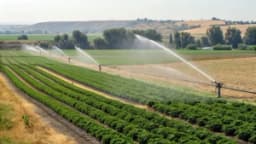 Изображение записи