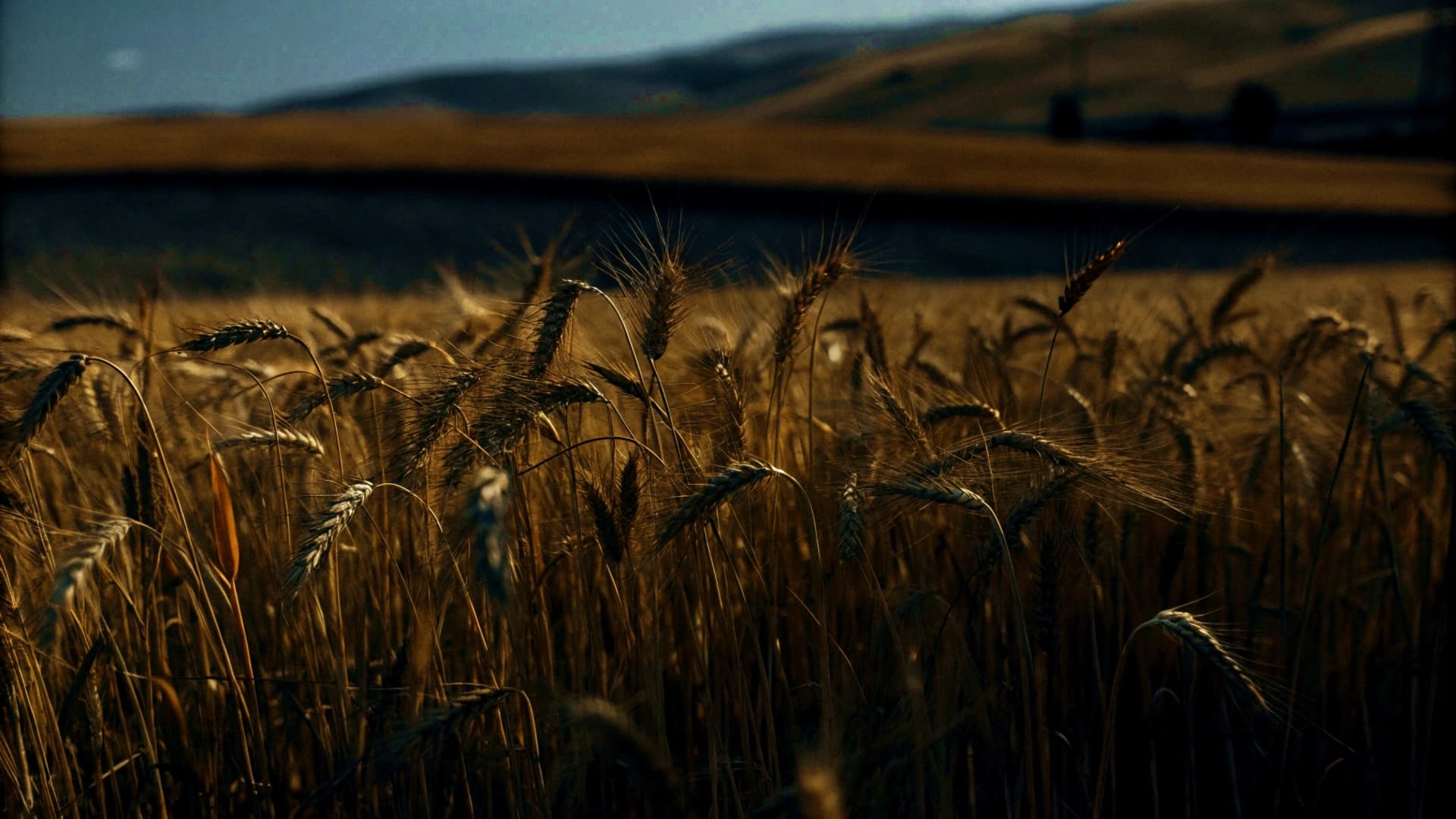 Изображение записи