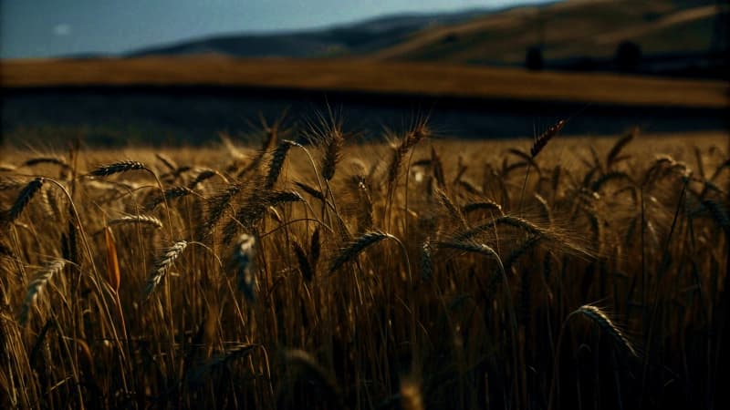 Изображение записи