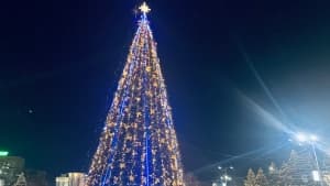 Изображение записи