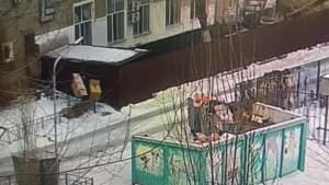 Изображение записи