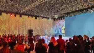 Изображение записи