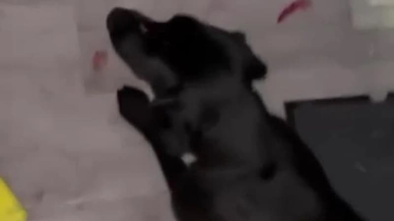 Изображение записи